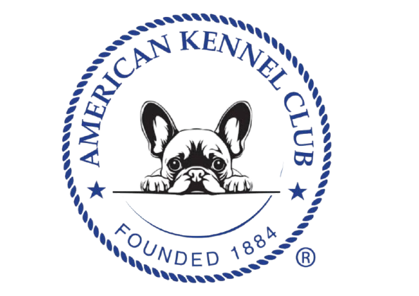 American  Kennel Club