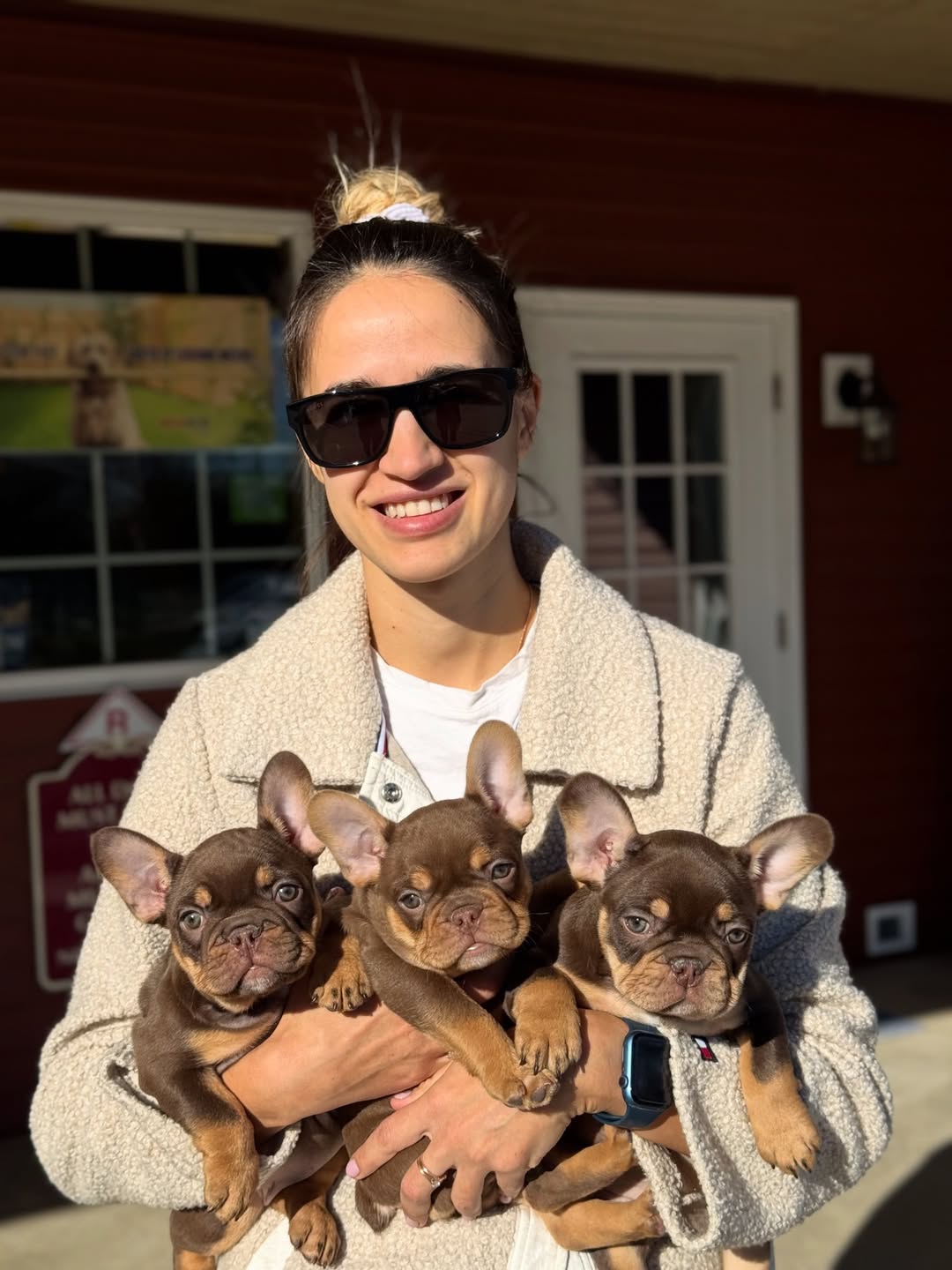 🐾 How to Potty Train a French Bulldog: Tips That Work!